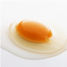 画像：DHA含有卵黄油