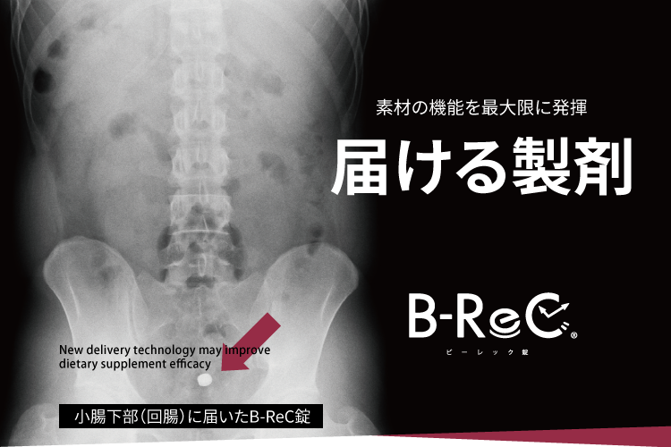 小腸下部（回腸）に届いたB-ReC錠/ 素材の機能を最大限に発揮 届ける製剤 B-ReCビーレック