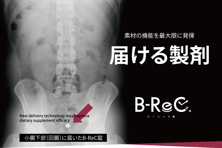 小腸下部(回腸)に届いたB-ReC錠/ 素材の機能を最大限に発揮 届ける製剤 B-ReCビーレック