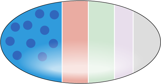 画像：DHA70 BAPT製剤（多機能化）