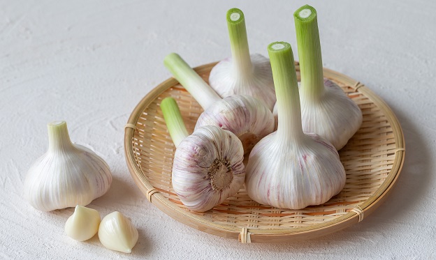 new_garlic_s.jpg