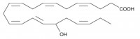 HDHA (CAS 90780-52-2) _ Cayman Chemical