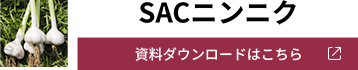 資料ダウンロードはこちら