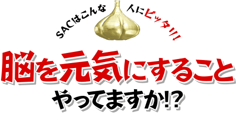 脳を元気にすることやってますか？